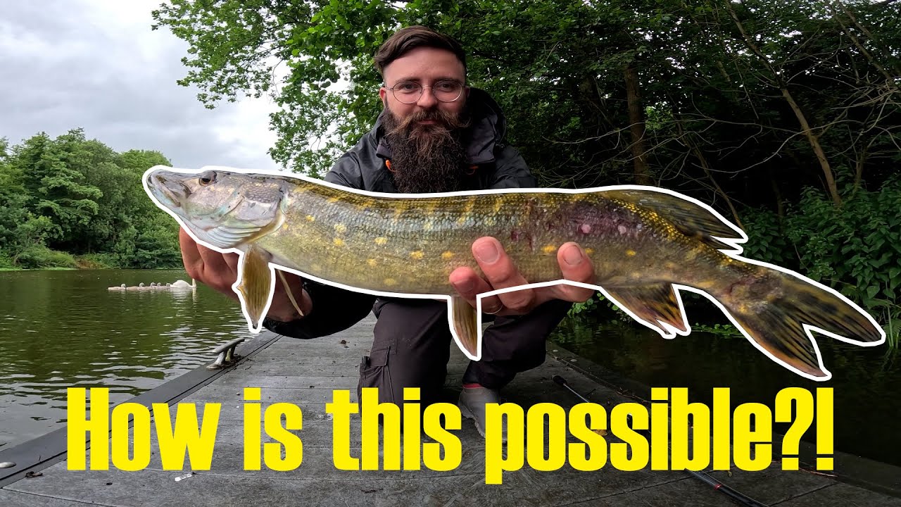 River fishing for Pike - North West UK