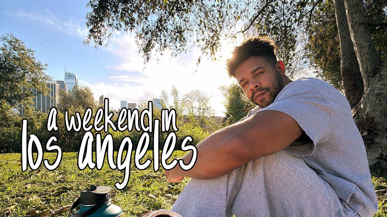 back in los angeles (vlog)