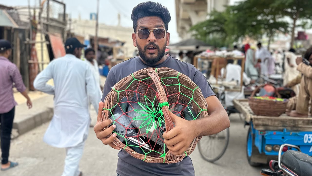Aaj Road sa Bohat Sare Kabutaron Ko Khareed Liya 😳😱