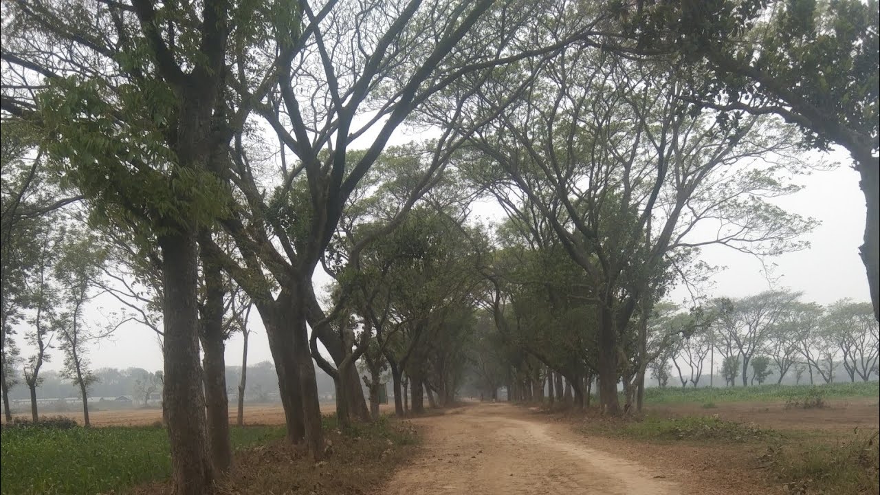 হযরতআলী888 এখন লাইভ!