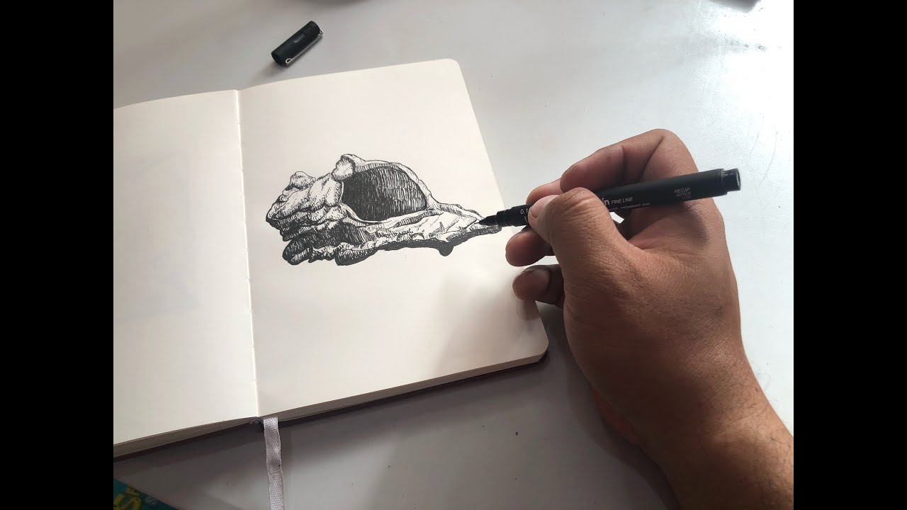 Sketching a DETAILED Sea Shell with Pen and Ink Techniques | Real Time Drawing