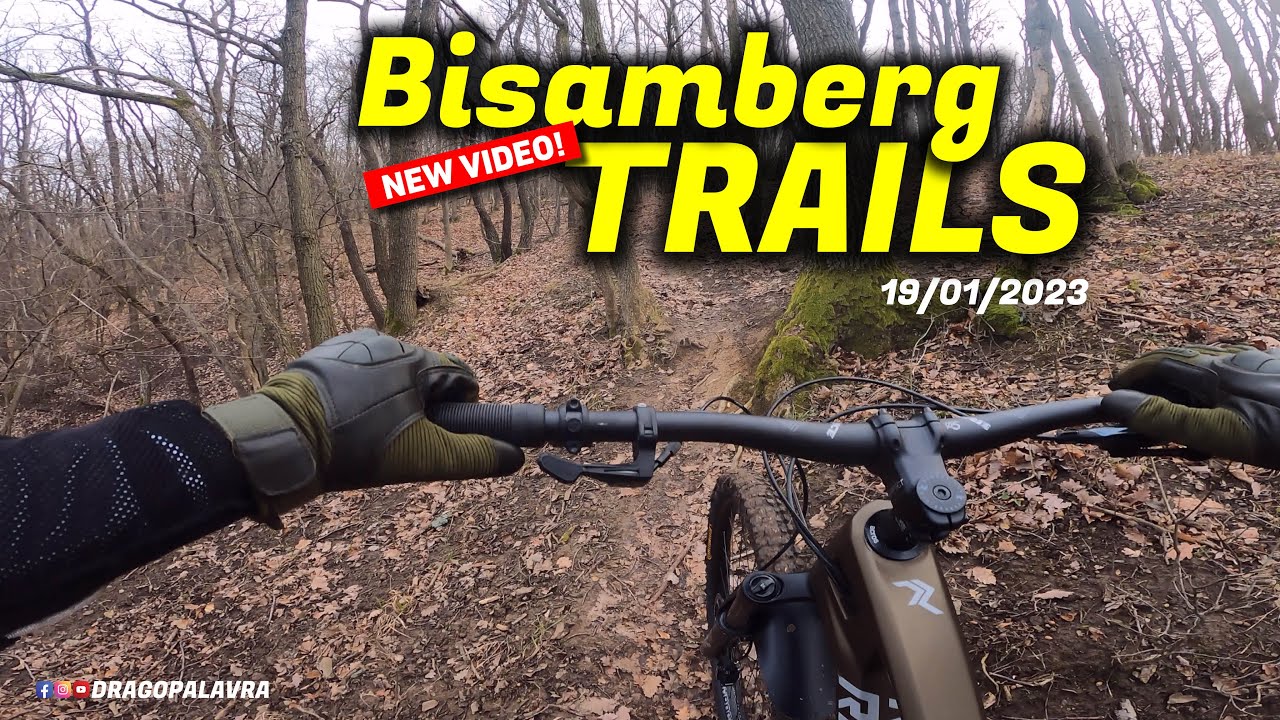 RADON SLIDE TRAIL 8.0 2022 | Bisamberg Trails | Drago Palavra