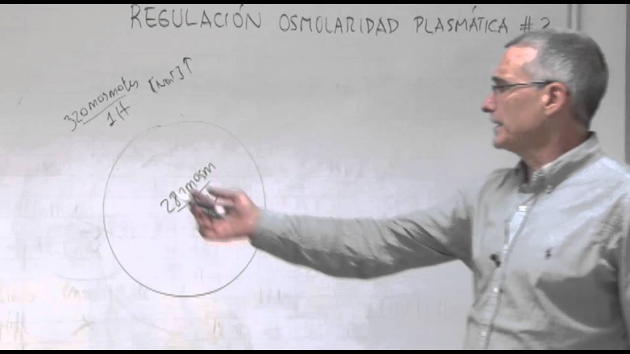 Fisiología III -Regulación Osmolaridad Plasmática 2