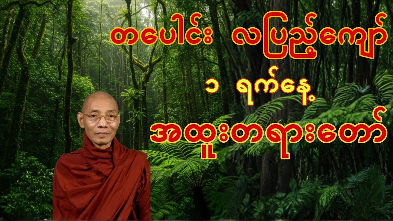 တပေါင်းလပြည့်ကျော် (၁)ရက်နေ့အထူးတရားတော်
