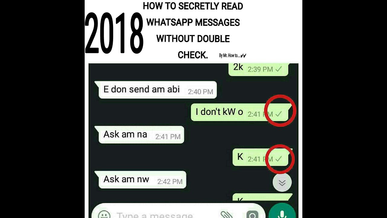 How to secretly read WhatsApp messages without double tick or the blue ticks appearing