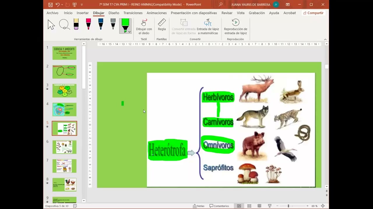 7º SEM T7 CYA PRIM I   REINO ANIMAL