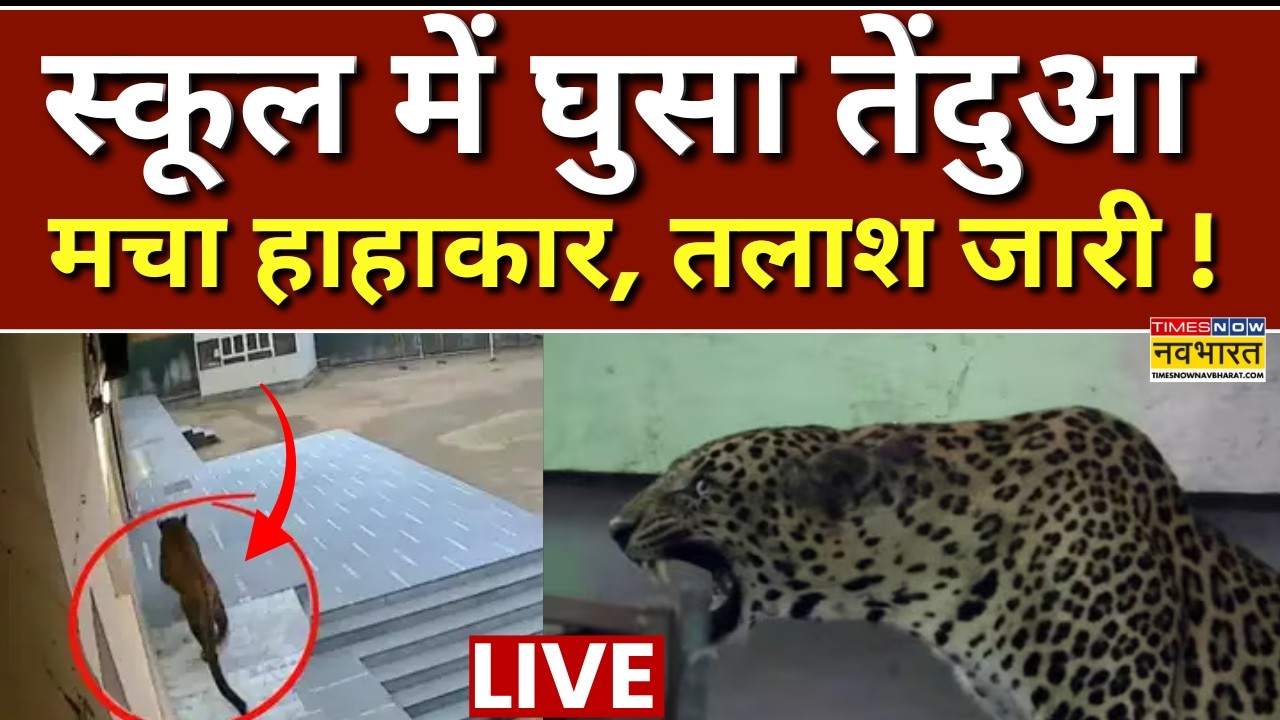 Leopard Enters In Ghaziabad School Live : स्कूल में घुसा में तेंदुआ, मचा हाहाकार ! | Breaking News