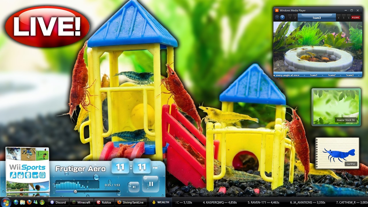 Shrimp Tank Live 🌐 Windows Vista Aquarium & Frutiger Aero Radio 24/7