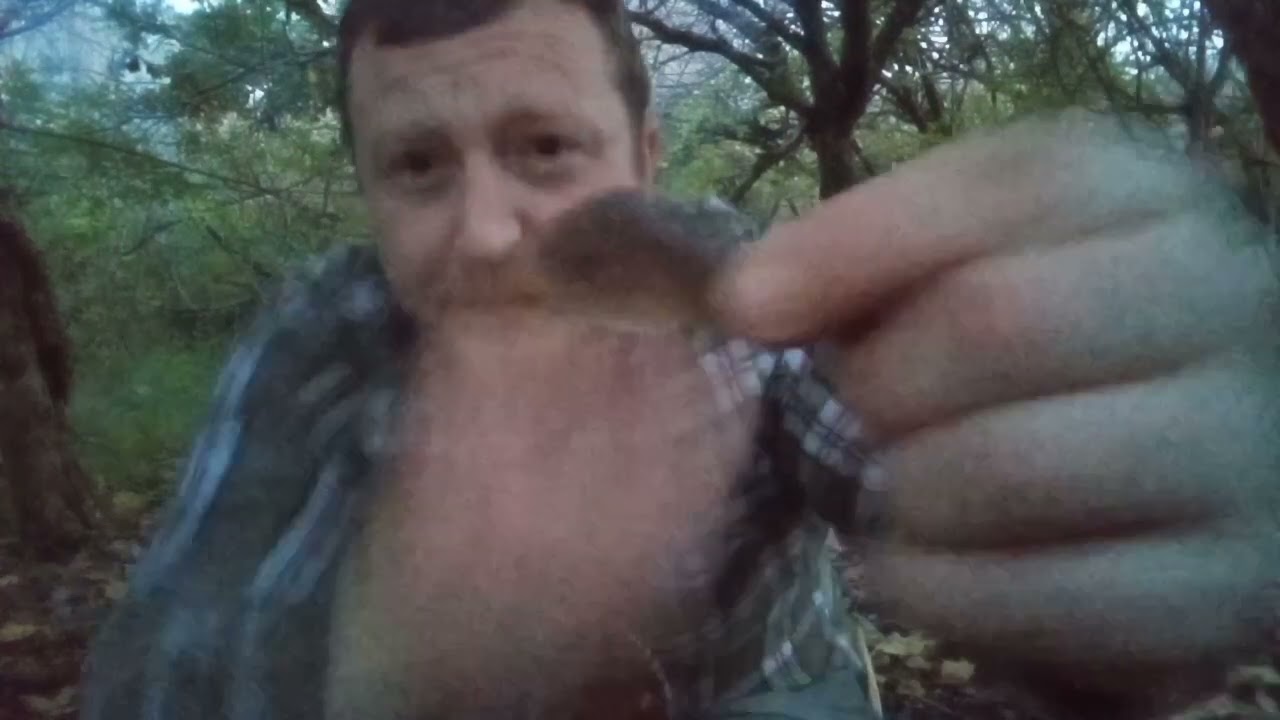 Day Camp Bushcraft