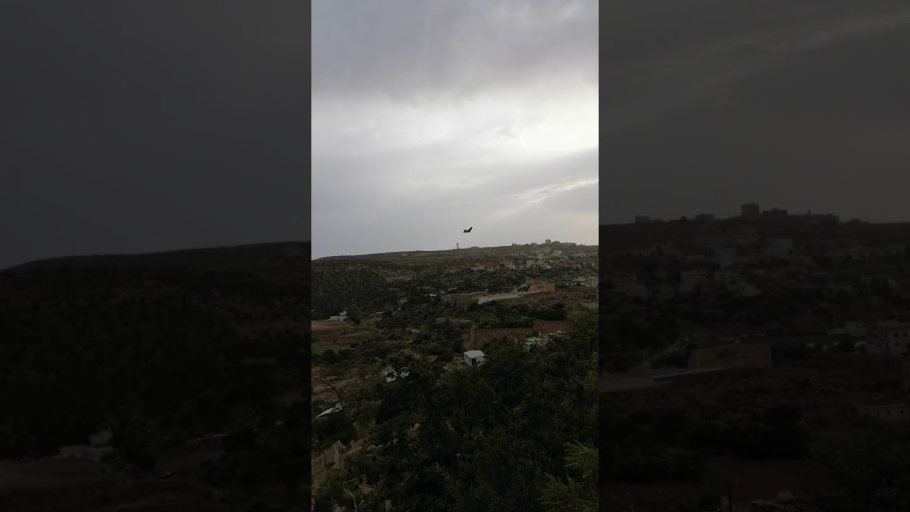 شجر العرعر #الجبلي