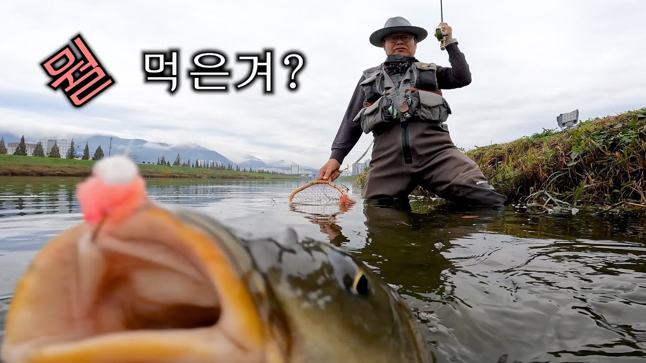 Осенний подъём карпа — 2025 Fly Fishing EP14 (Carp On The Fly) с дубляжом CLOVA