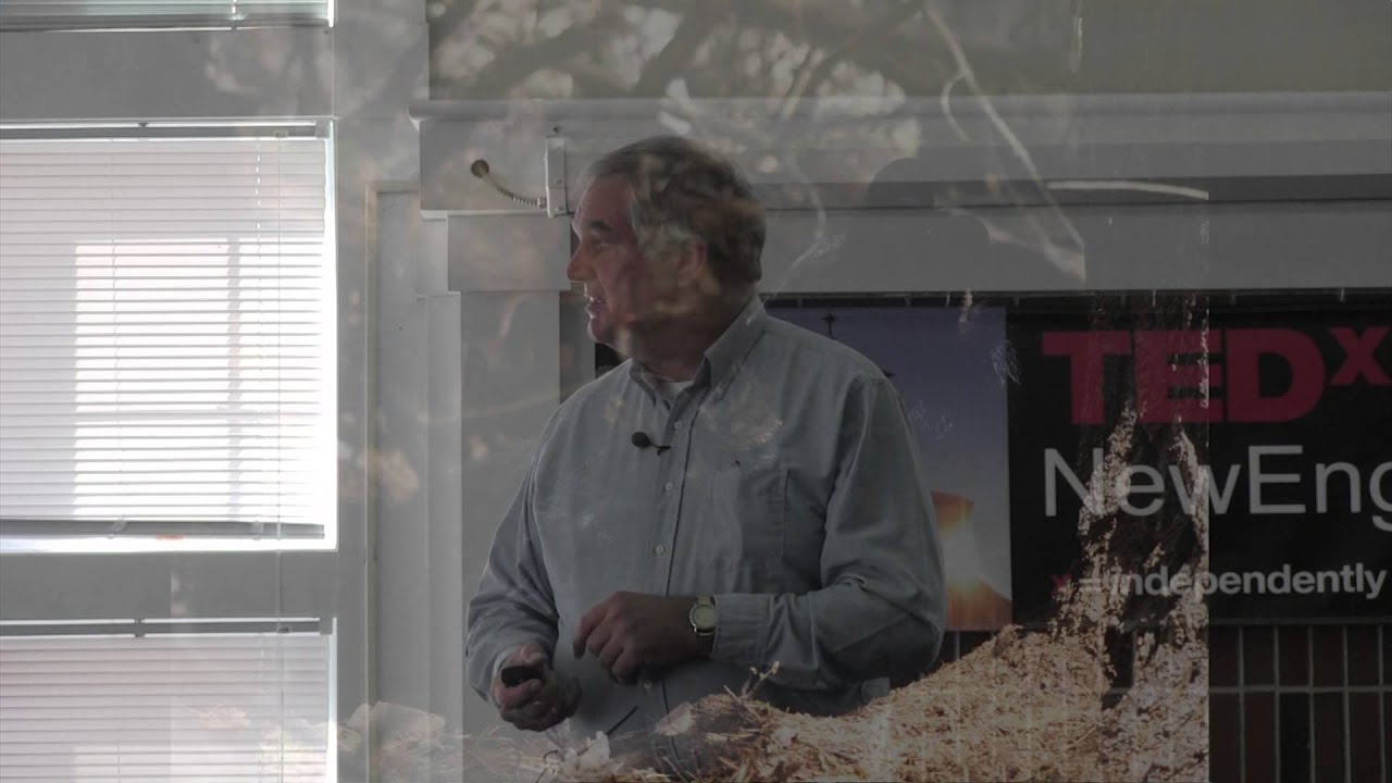 The social Black Bear | Benjamin Kilham | TEDxNewEnglandCollege