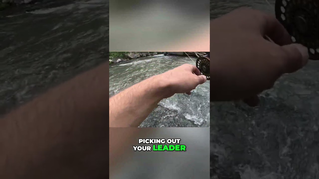 Strip set while streamer fishing!!! 