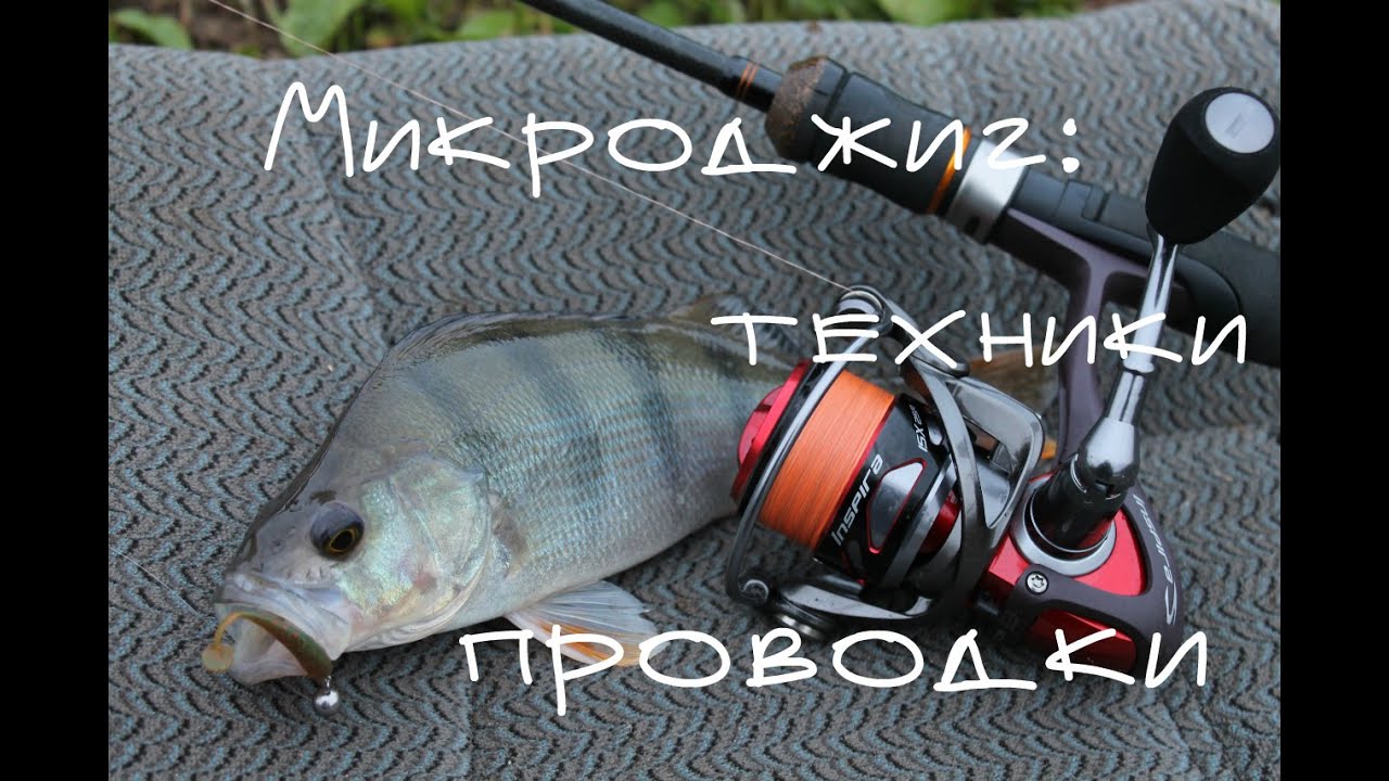 Микроджиг: техники проводки