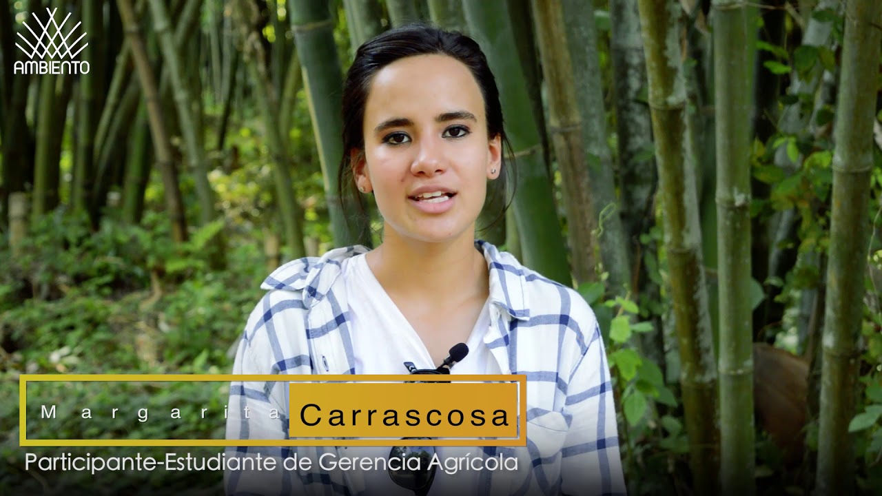 Taller Siembra del Bambú y su Rentabilidad - Ambiento