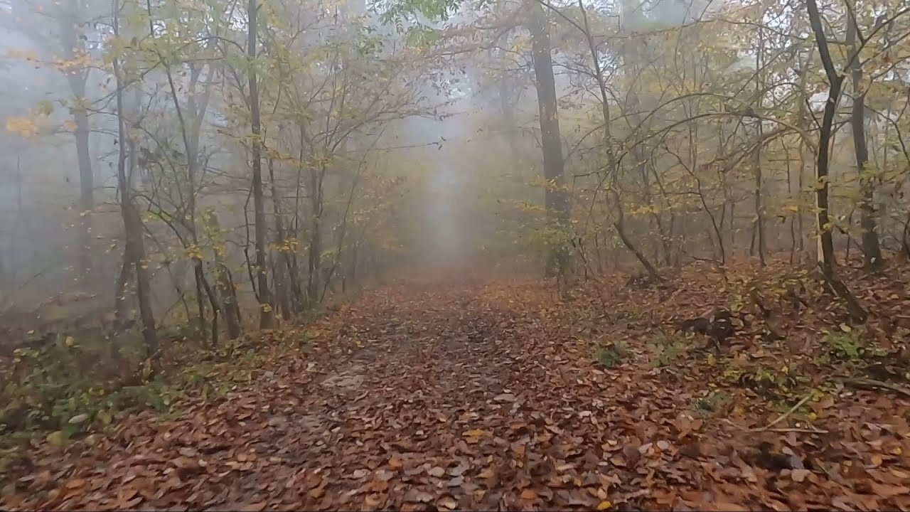 Pilis MTB kerékpártúra 2022 október