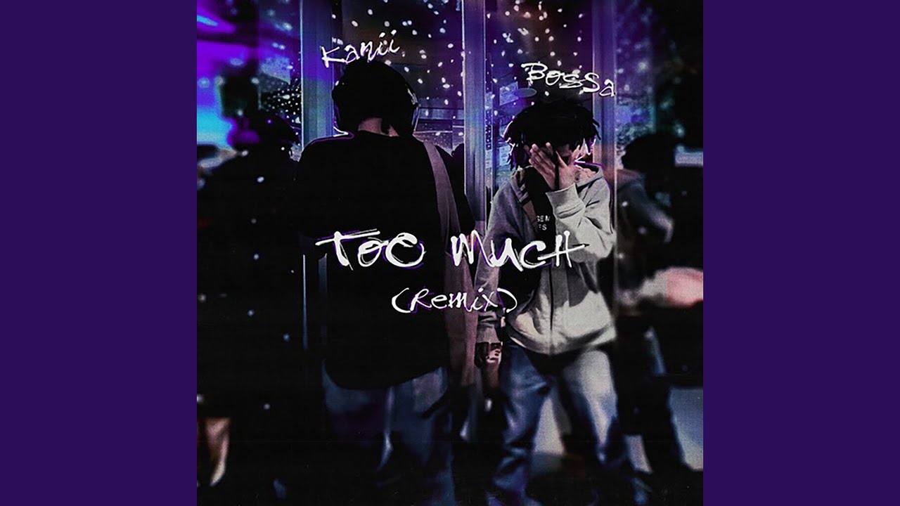 Too Much (Remix)