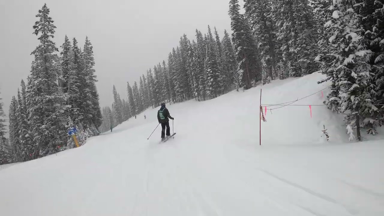 Winter Park 3/6 - Pano Trees (Mia POV)