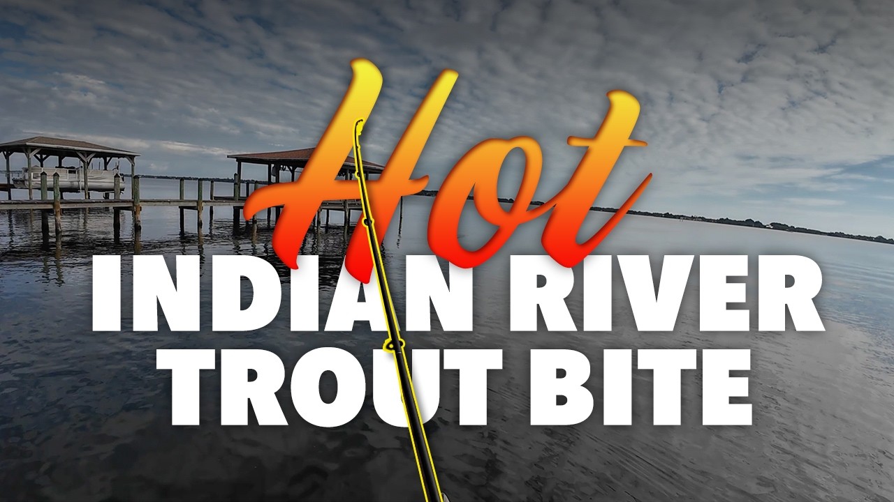 Hot Indian River Lagoon Trout Bite