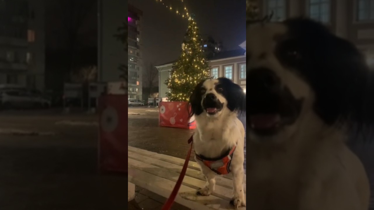 Включи это 1 декабря в 