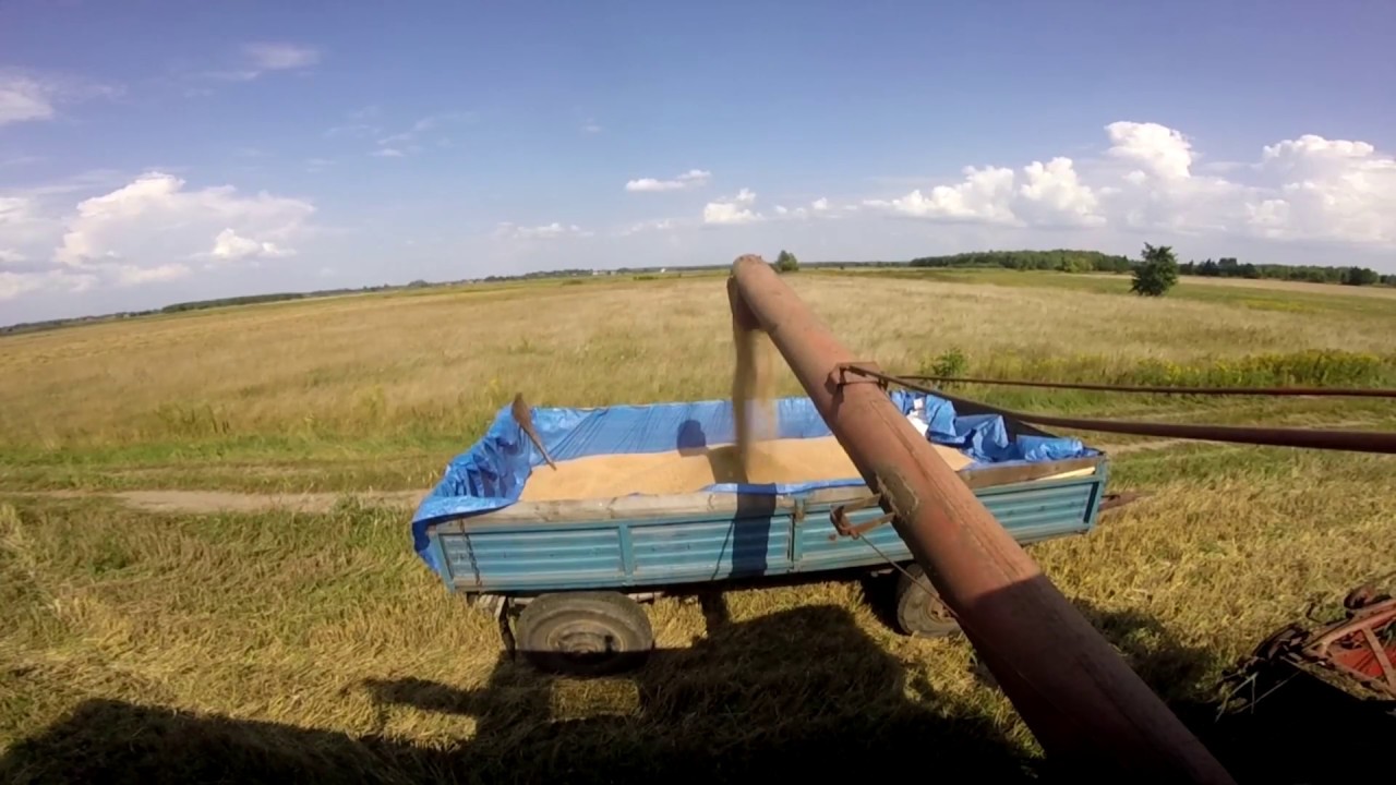 ☆Żniwa 2018 z Bizonami ☆[Podkarpackie]