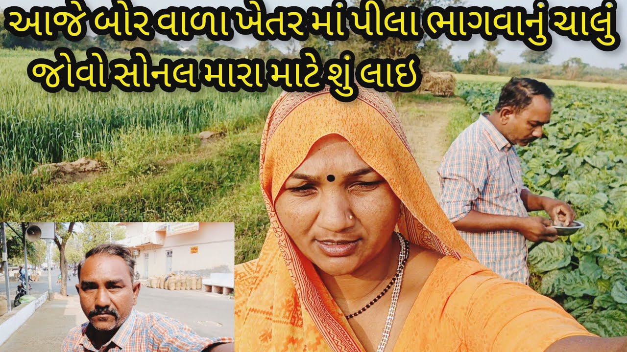 #gujarati#family#vlog ||જોવો સોનલ શું લાઇ મારા માટે👉મિત્રો સપોર્ટ કરજો ને સબ્સ્ક્રાઇબ કરજો?... 