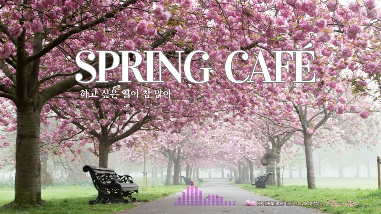 [하루 종일 듣기 좋은 재즈] 봄 감성 한 바구니🌸기분 좋은 재충전 #카페음악 #스트레스해소