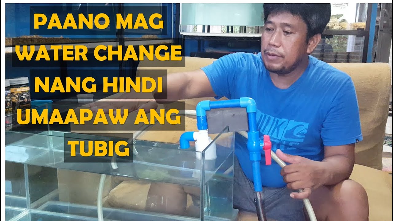 Easy Steps on How To Water Change Without Overflowing