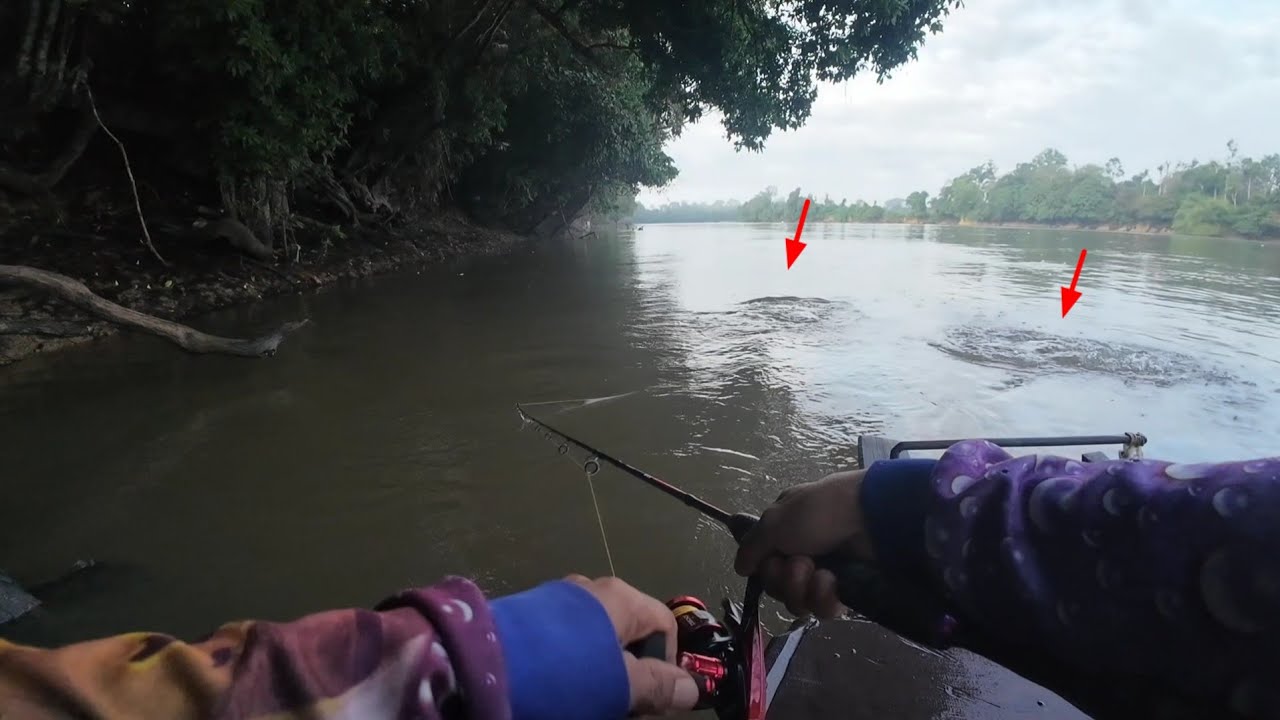 2 HARI CASTING IKAN HAMPALA