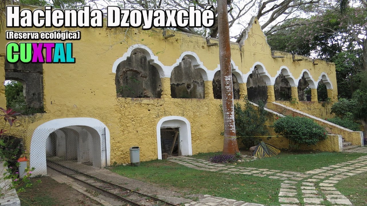 QUE HACER EN MÉRIDA  | HACIENDA DZOYAXCHÉ