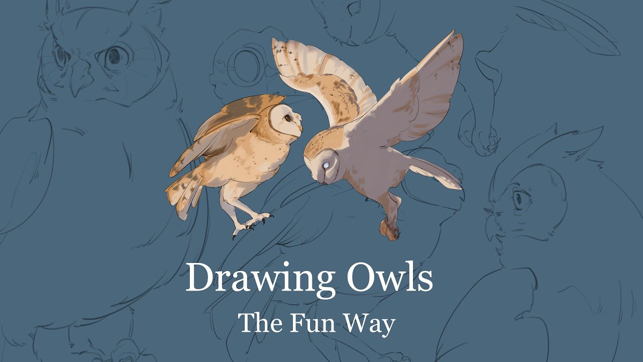 Tips and Tricks: Drawing Owls