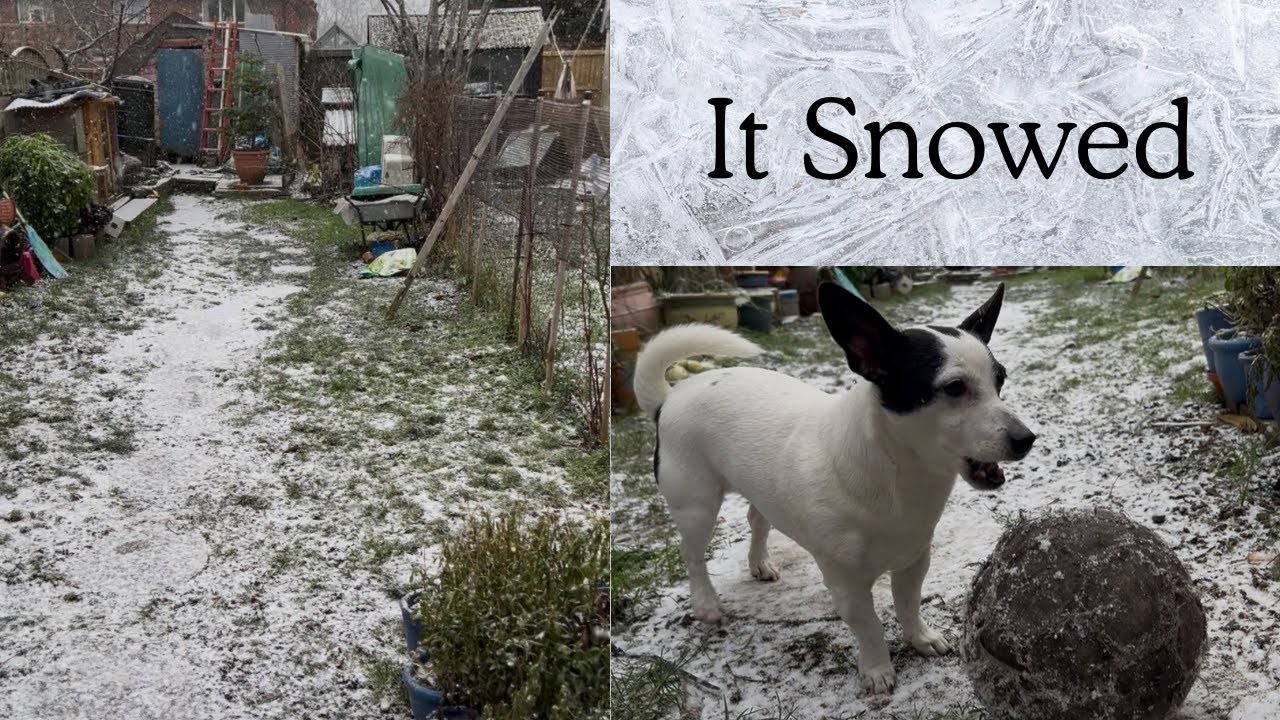 We actually got some Snow 