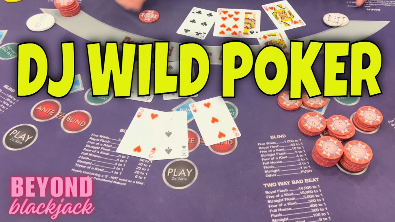 DJ WILD POKER 🟣