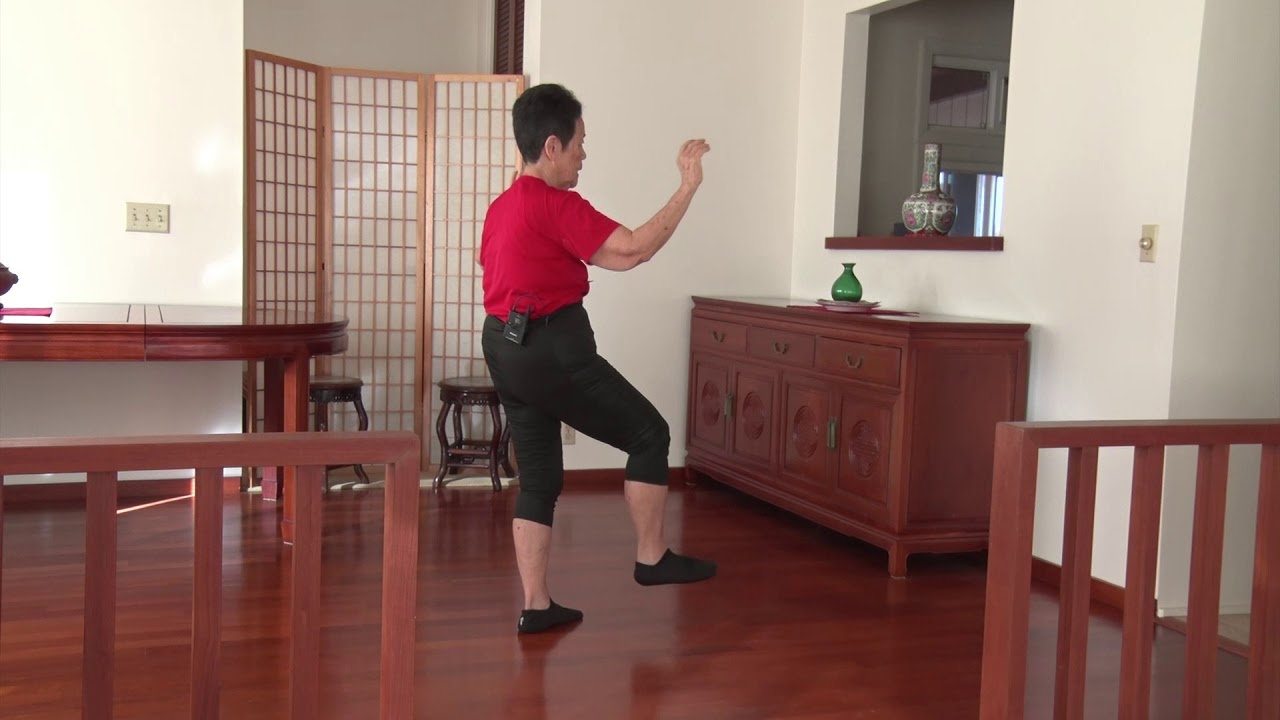 Yang 88 Instructional Front View everydaytaichi lucy chun Honolulu, Hawaii