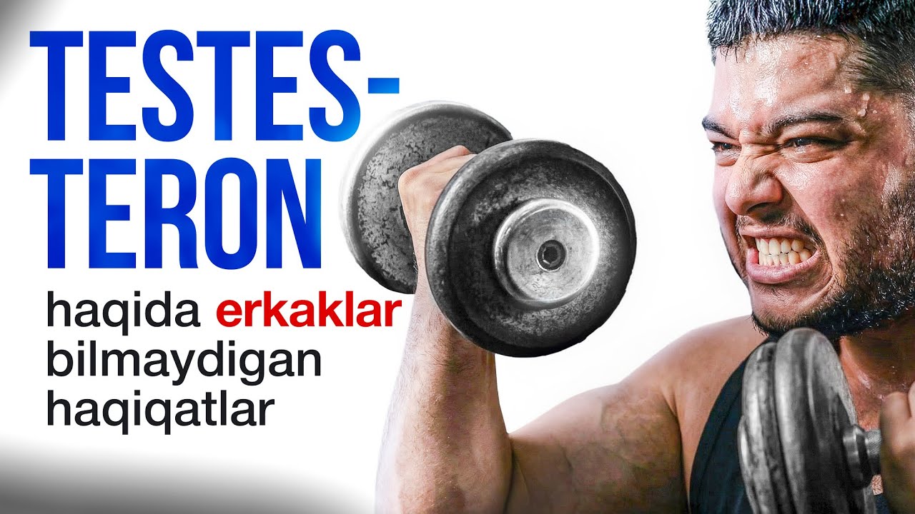Testeron haqida bilishingiz kerak bo’lgan barcha narsa | mutaxassislar fikri!