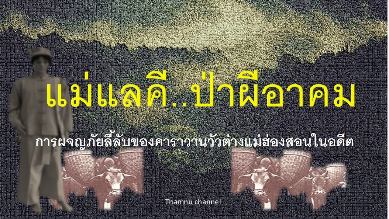 ๔.แม่แลคี..ป่าผีอาคม ! การผจญภัยลี้ลับกองคาราวานวัวต่างแม่ฮ่องสอนในอดีต