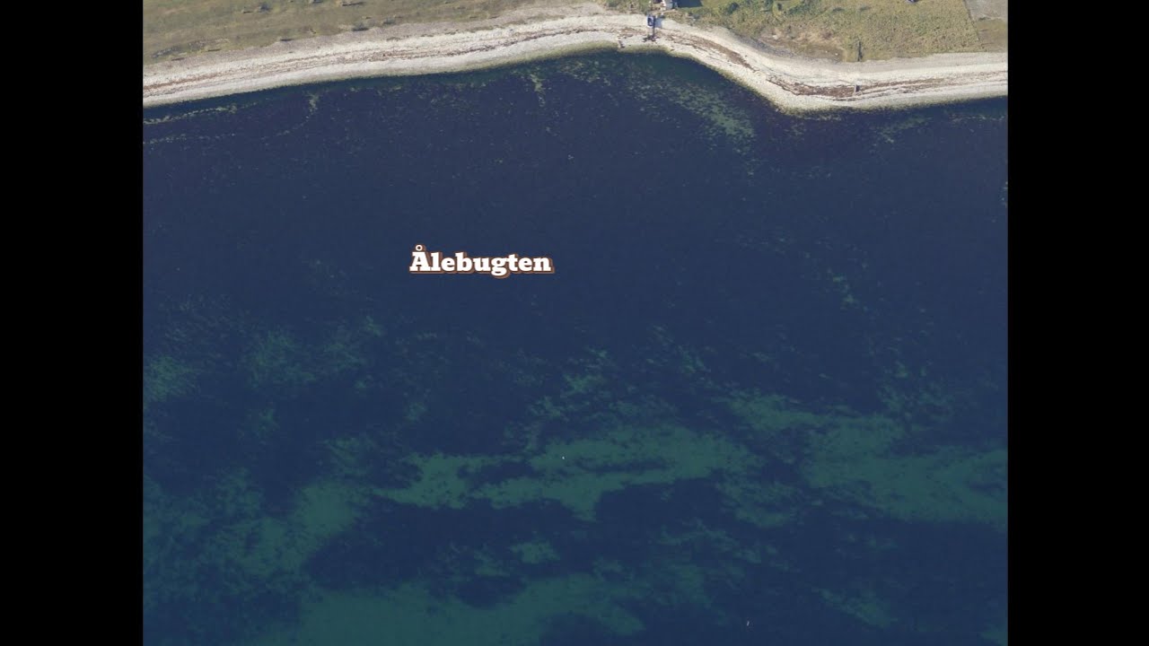 Ålebugten