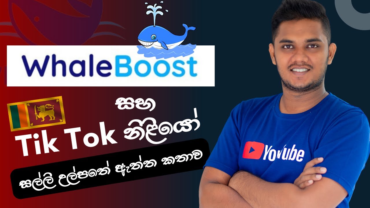Tik Tok නිලියෝ Whaleboost ගැන කියන්නේ ඇත්තද ? | Whaleboost Money Scam | Sinhala