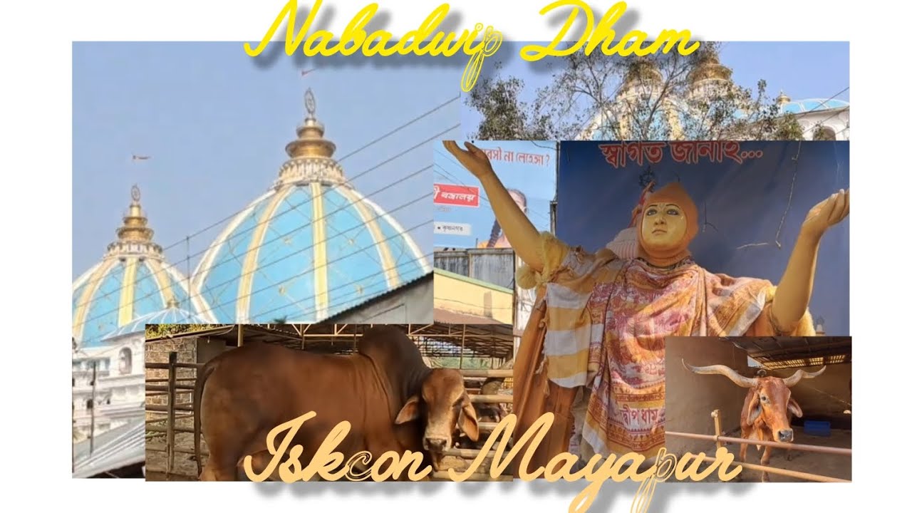 Nabadwip Dham | মায়াপুর ইসকন | Mayapur Iskcon .... 