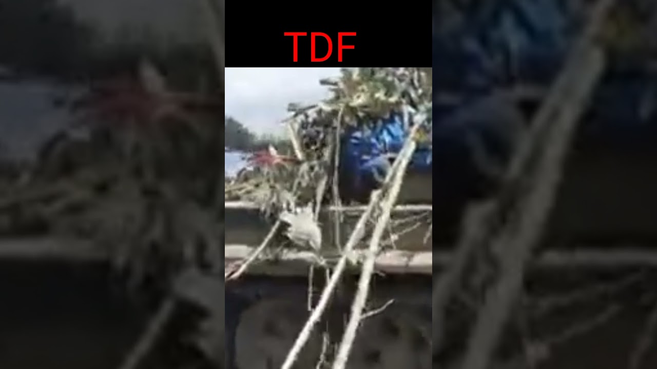 Ethiopia tigray war #shorts