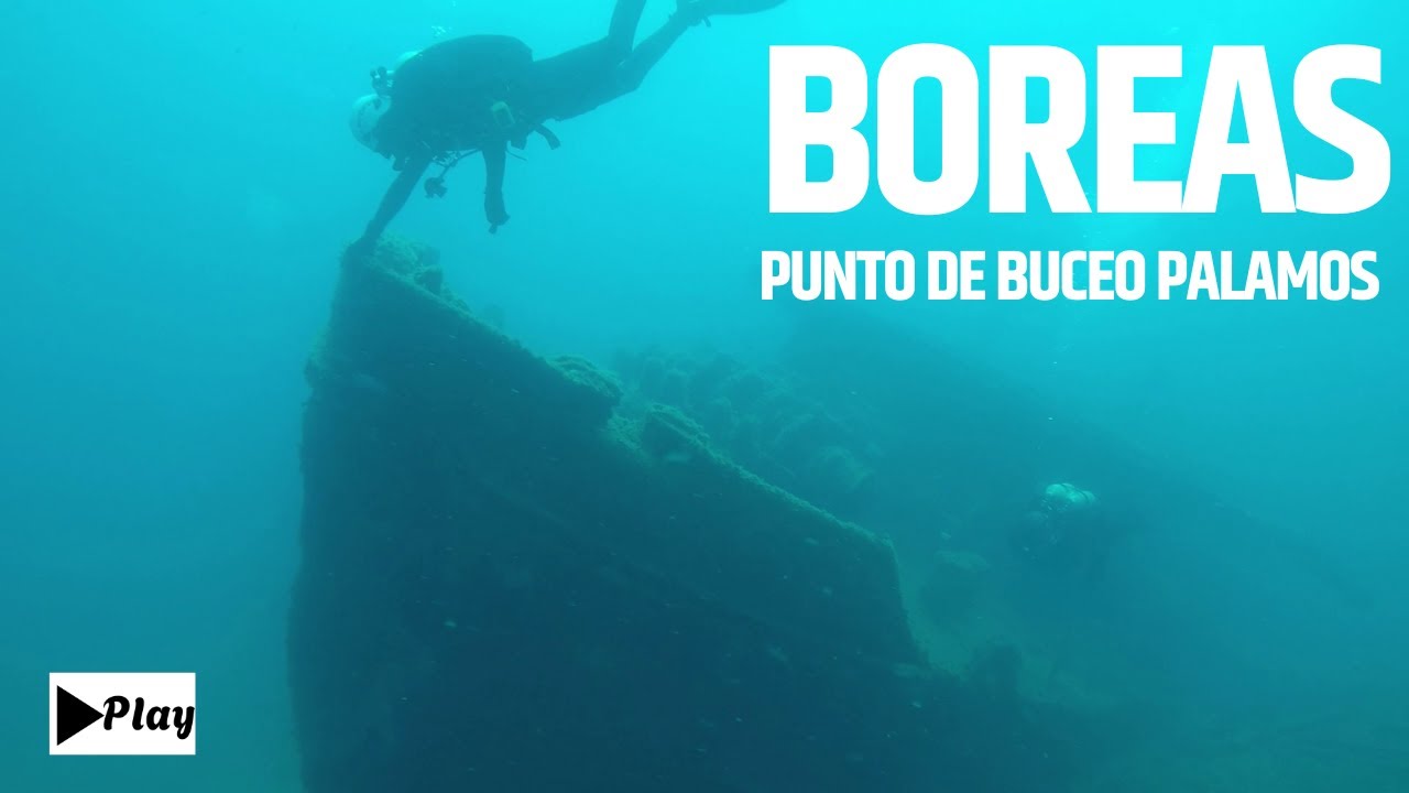 Explorando el Misterioso Naufragio Boreas en Palamós!