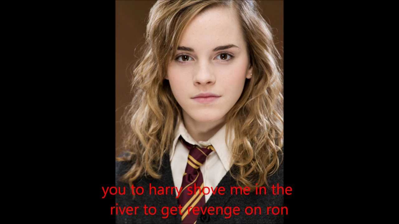 after the war HarryGinny Ron/Hermione