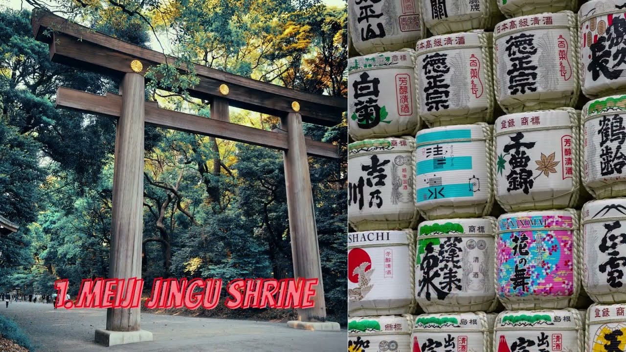 Top 5 Places to visit in Tokyo: Travel to see the beautiful country