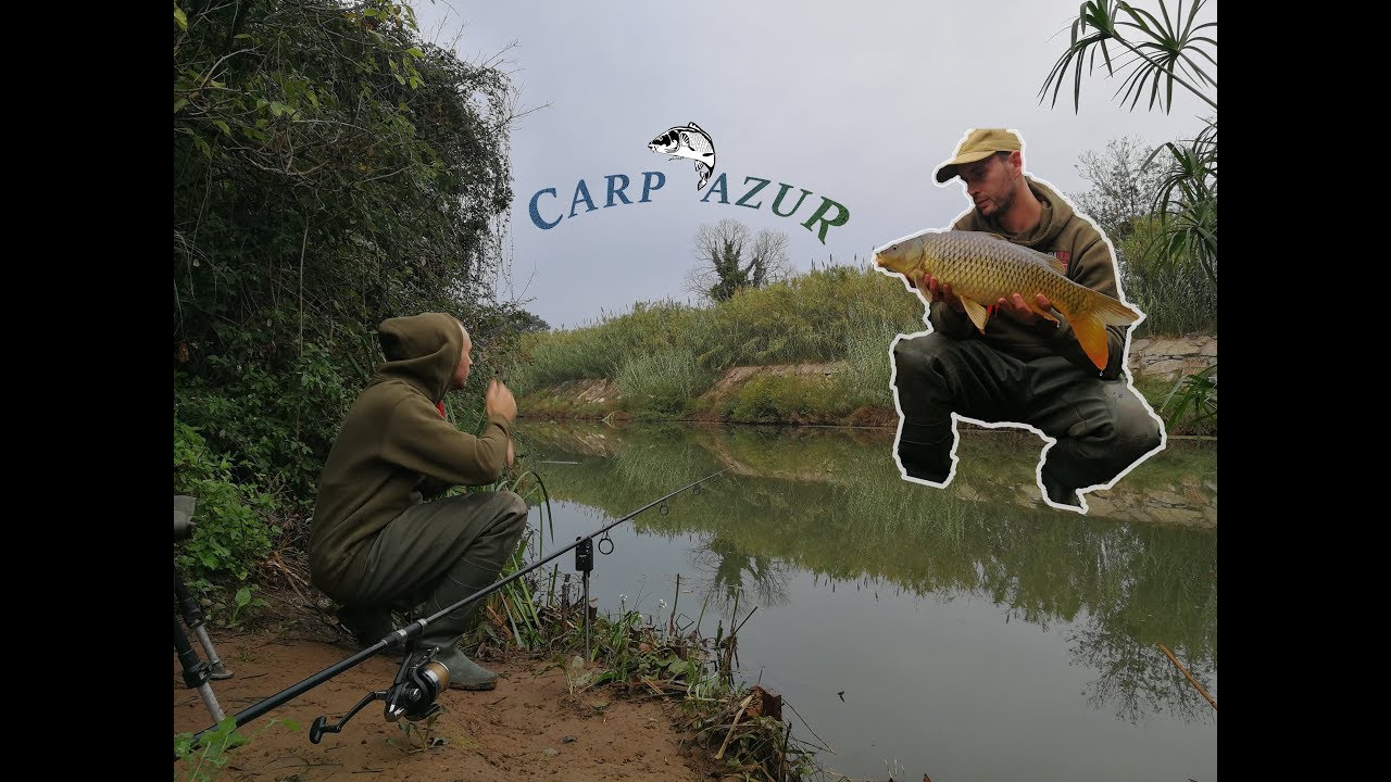 PECHE DE LA CARPE EN RIVIERE SAUVAGE **DEPART EN DIRECT**