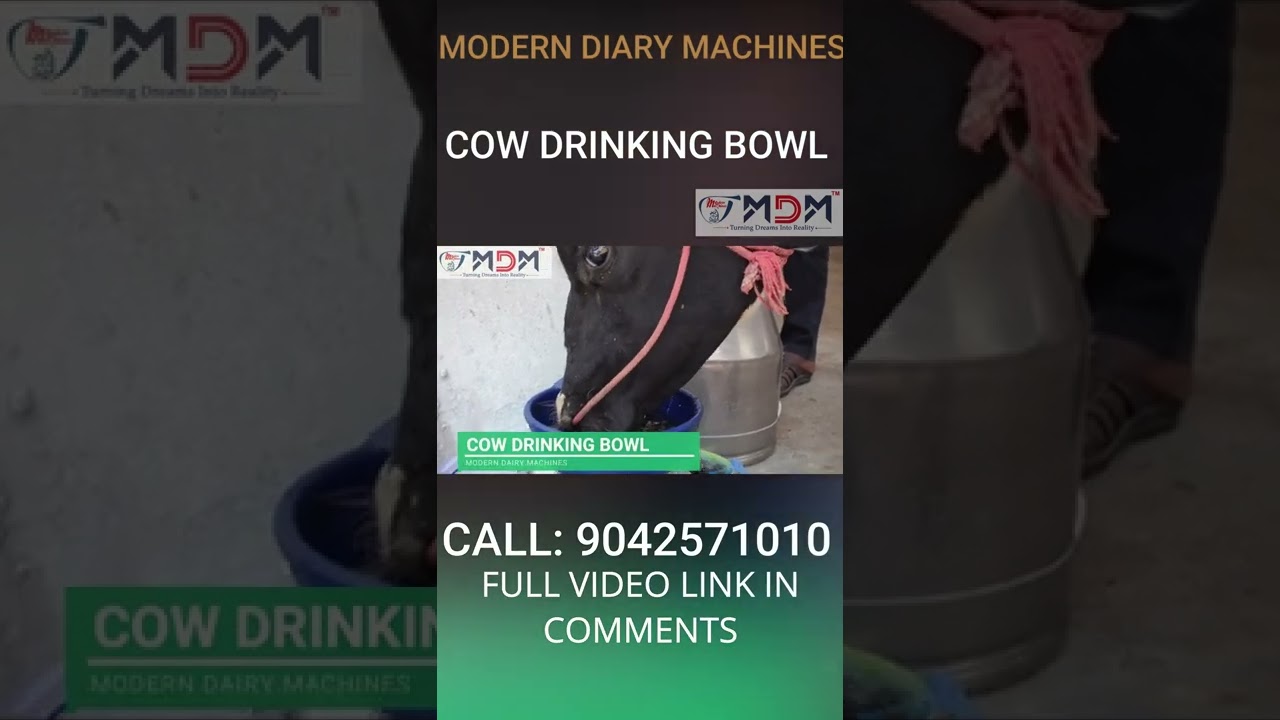 COW DRINKING BOWL | MODERN DAIRY MACHINES