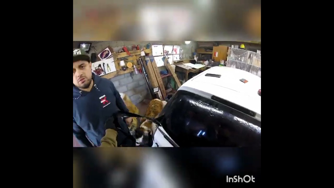 como polarizar Ford Ka