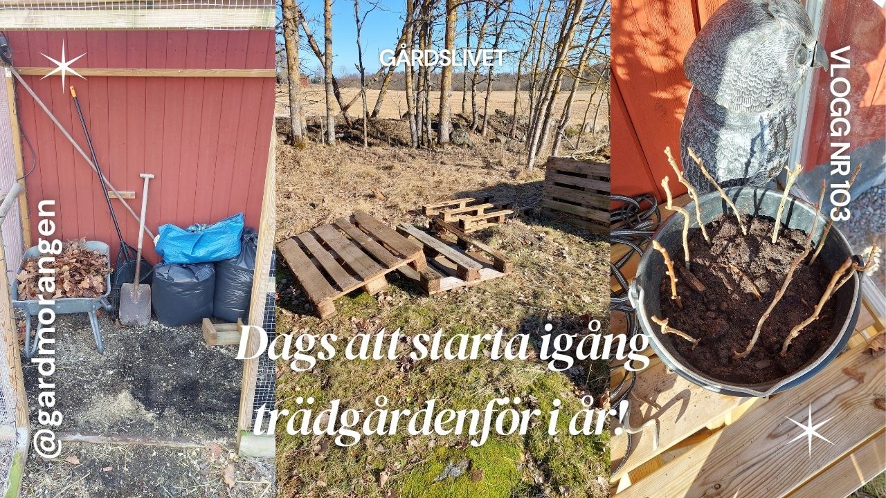 Dags att starta igång trädgården för i år (Del 1) - Vlogg 103