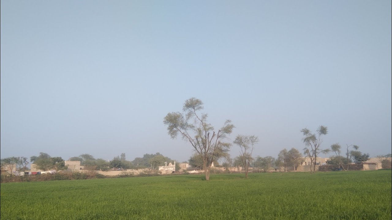 Daily Village Life | Desi Rural Environment