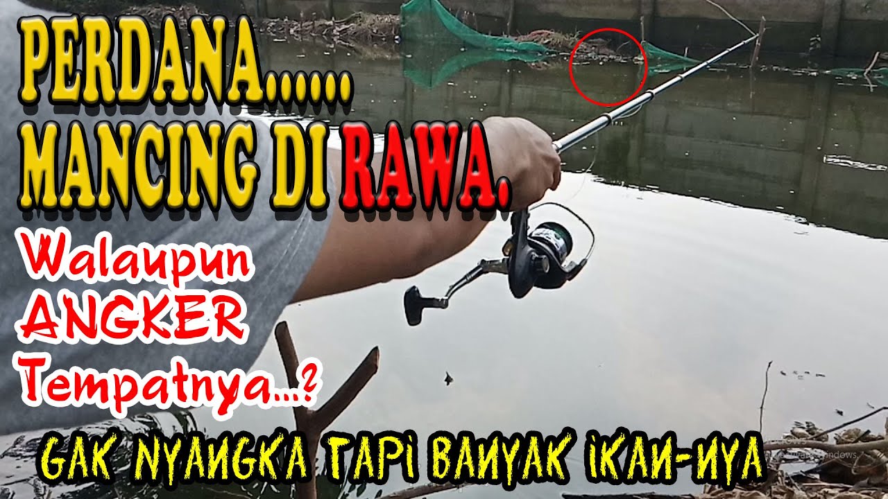 PERDANA MANCING DI RAWA WALAUPUN ANGKER GAK NYANGKA BANYAK IKANNYA