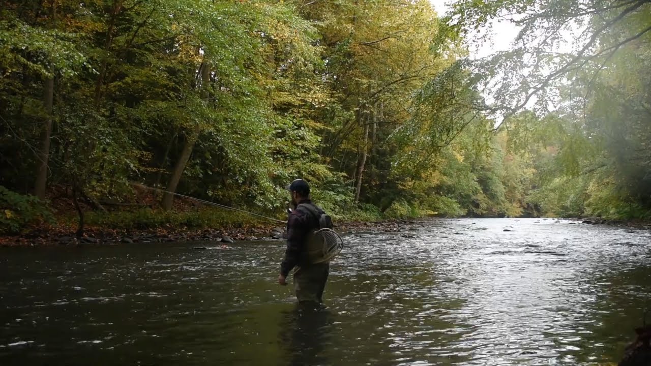 October Nymphing Wild Trout | Schuylkill River Tributary